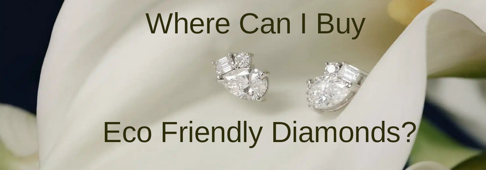 where can I buy eco friendly diamonds?